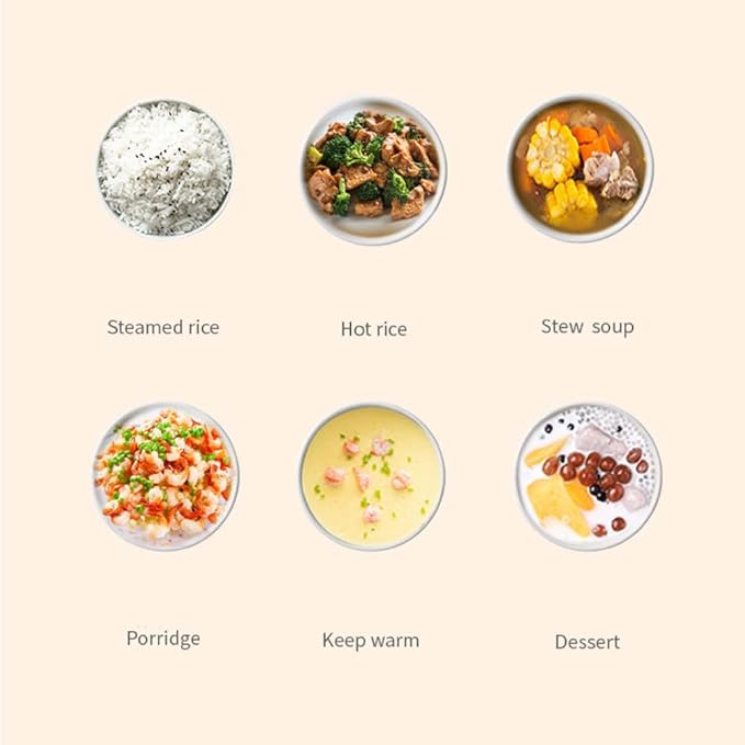 TrailBlaze Electric Warmer Lunch Box Food Heater Portable Mini Rice Cooker, Containers Warming Self Cooking Electric Lunch Box, Toursion 2 Layers Steamer Lunch Box for Home Office School Travel